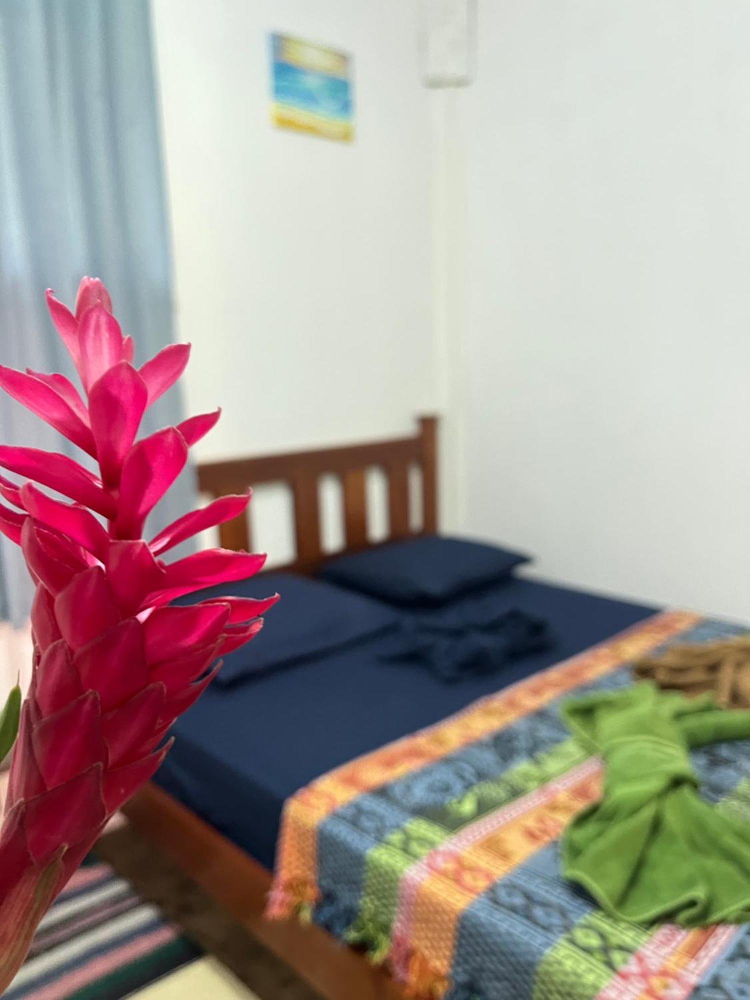 Surf Camp Hotell Bocas del Toro Exteriör bild