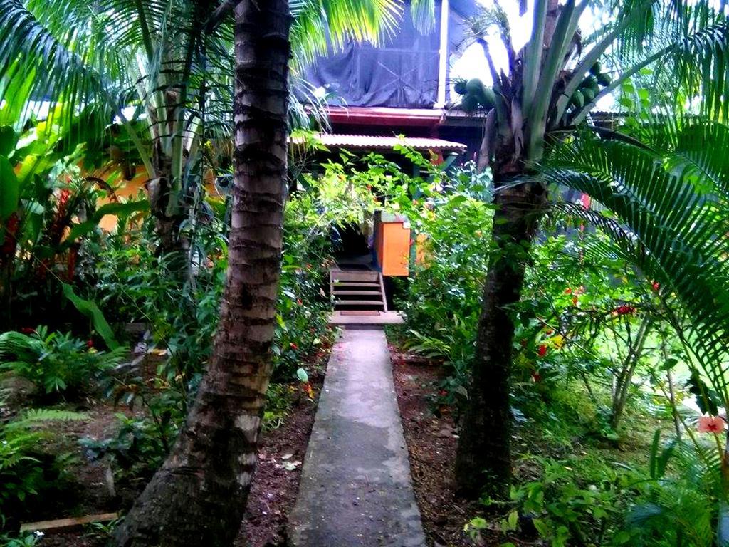 Surf Camp Hotell Bocas del Toro Exteriör bild